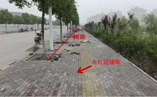 從識(shí)圖算量到施工工藝 深圳市政造價(jià)培訓(xùn)路面工程深度解析